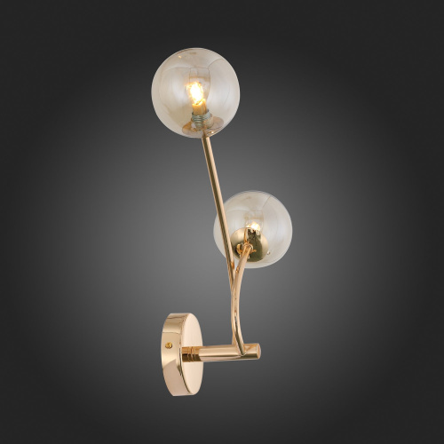 SL435.201.02 Бра ST-Luce Золотистый/Коньячный G9 2*3W PARLLAONE фото 6 SL435.201.02 Бра ST-Luce Золотистый/Коньячный G9 2*3W PARLLAONE фото 6