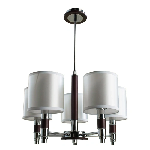 Подвесная люстра Arte Lamp CIRCOLO A9519LM-5BR