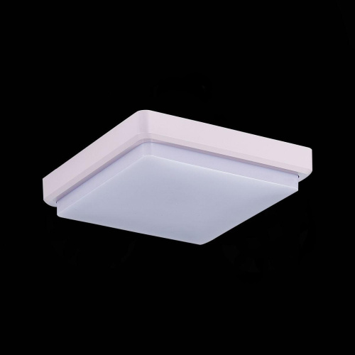 Потолочный светодиодный светильник Evoluce Taddio SLE200212-01 фото 2