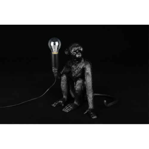 Настольная лампа APL.309.24.01 фото 9 Настольная лампа APL.309.24.01 фото 9