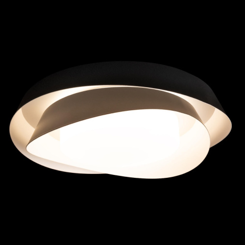 10256 Black Потолочный светильник LOFT IT Petale фото 2 10256 Black Потолочный светильник LOFT IT Petale фото 2