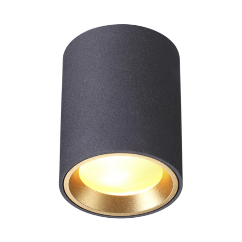 4205/1C HIGHTECH ODL20 327 черный/металл Потолочный светильник GU10 50W IP54 AQUANA фото 3