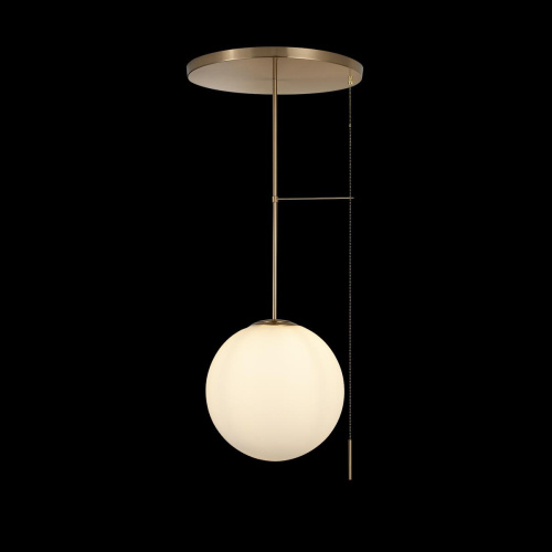 10029PM Gold Светильник на штанге LOFT IT Signal фото 2