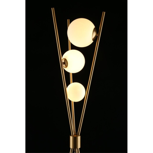 Торшер APL.348.15.03 фото 11