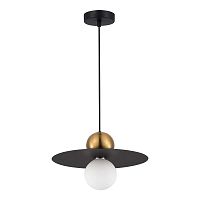 Подвесной светильник Evoluce SLE1257-433-01