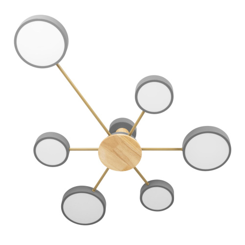 10316/6 Grey Потолочный светильник LOFT IT Sunrise фото 2