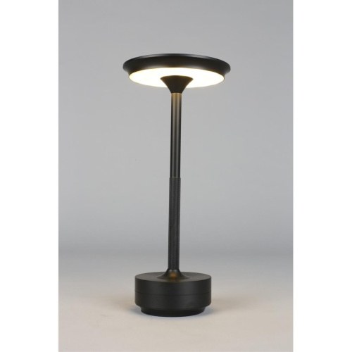 Настольная лампа APL.064.24.05 фото 2