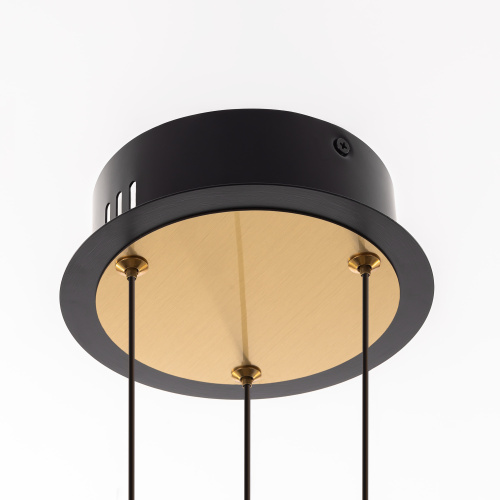 Citilux HELLY CL211042 Подвесная светодиодная люстра фото 6 Citilux HELLY CL211042 Подвесная светодиодная люстра фото 6