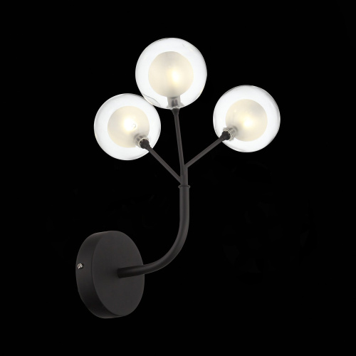 SL376.401.03 Бра ST-Luce Черный/Прозрачный, Белый G4 LED 3*2W - DEMELE фото 5 SL376.401.03 Бра ST-Luce Черный/Прозрачный, Белый G4 LED 3*2W - DEMELE фото 5