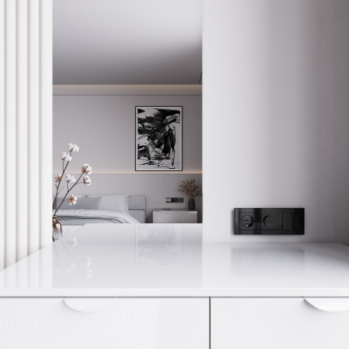 Диммер (черный акрил) W1142048 фото 2 Диммер (черный акрил) W1142048 фото 2