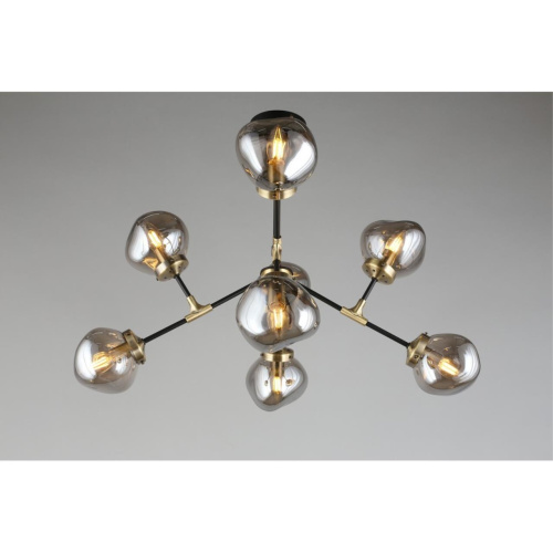 Люстра потолочная OML-95207-08 фото 9 Люстра потолочная OML-95207-08 фото 9