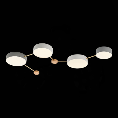 SLE600102-04 Светильник потолочный Золотистый, Светлое дерево/Белый, Серый LED 4*16,5W 4000K DOSSENA SLE600102-04 Светильник потолочный Золотистый, Светлое дерево/Белый, Серый LED 4*16,5W 4000K DOSSENA
