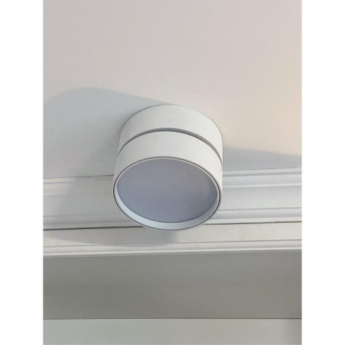 Светильник встраиваемый-накладной OML-101309-12 фото 6