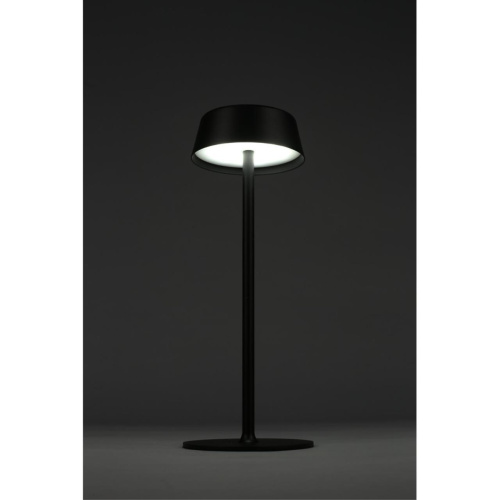 Настольная лампа OML-40504-01 фото 9