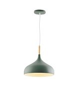 Светильник подвесной Moderli V11445-1P Eline