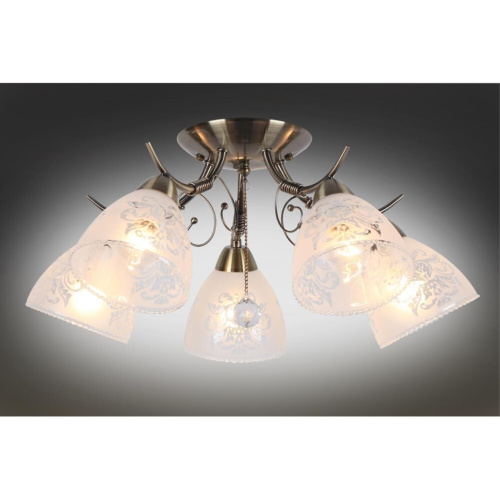 Люстра потолочная OML-53807-05 фото 3 Люстра потолочная OML-53807-05 фото 3