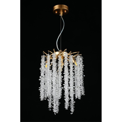 Люстра подвесная APL.848.03.04 фото 11