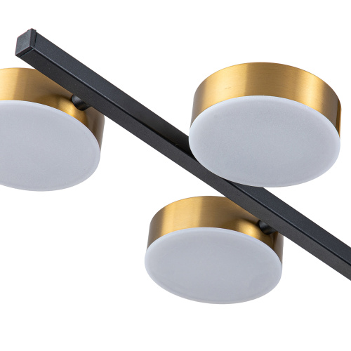 Светильник на штанге Escada 10266/6 LED*95W Black/Brass фото 5 Светильник на штанге Escada 10266/6 LED*95W Black/Brass фото 5