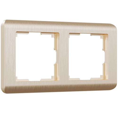 Рамка из поликарбоната на 2 поста Stream шампань W0022111