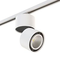 Комплект с трековым светильником Lightstar Forte Muro (592066+213850) A1T213850