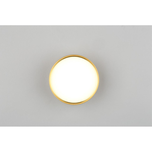 Светильник встраиваемый-накладной OML-103329-12 фото 5