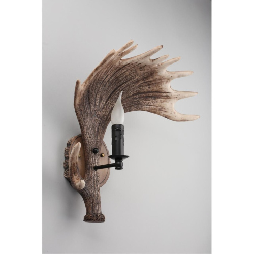 Светильник настенный (Бра) OML-52201-01 фото 6 Светильник настенный (Бра) OML-52201-01 фото 6