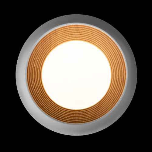 10255/350 White Потолочный светильник LOFT IT Folk фото 5 10255/350 White Потолочный светильник LOFT IT Folk фото 5