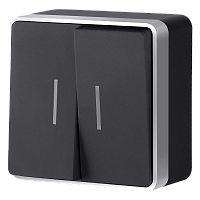 Выключатель двухклавишный с подсветкой Gallant черный с серебром W5020134 W5020134