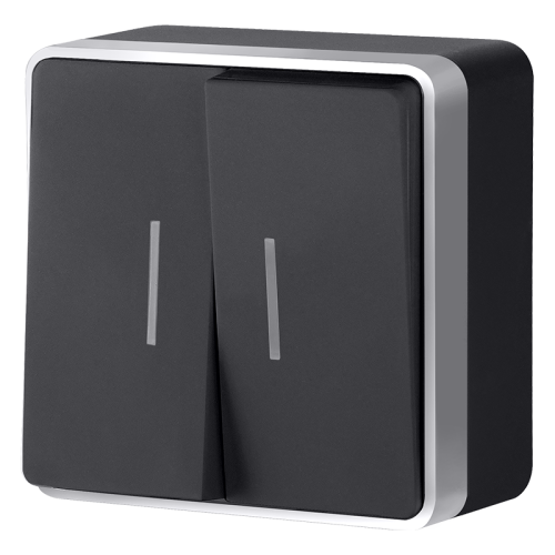 Выключатель двухклавишный с подсветкой Gallant черный с серебром W5020134 W5020134 Выключатель двухклавишный с подсветкой Gallant черный с серебром W5020134 W5020134