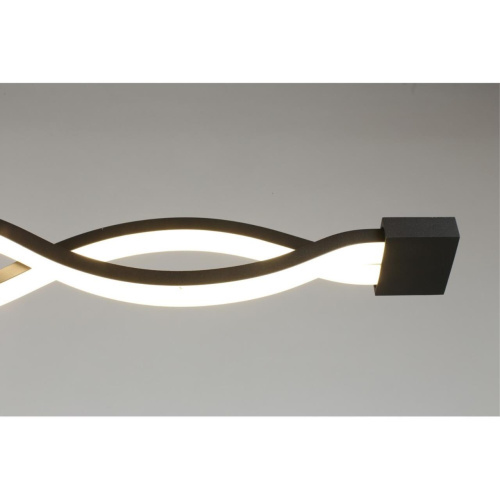 Светильник настенно-потолочный APL.002.12.36 фото 7