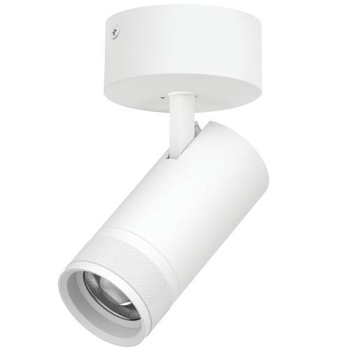 C4306SO Светильник CANNO PRO накладной LED 30W 2100LM 20-55G БЕЛЫЙ 2700-4200-6000K IP20 с адаптером (304306 + 215016) C4306SO Светильник CANNO PRO накладной LED 30W 2100LM 20-55G БЕЛЫЙ 2700-4200-6000K IP20 с адаптером (304306 + 215016)