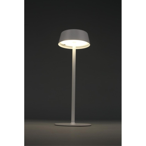 Настольная лампа OML-40514-01 фото 3