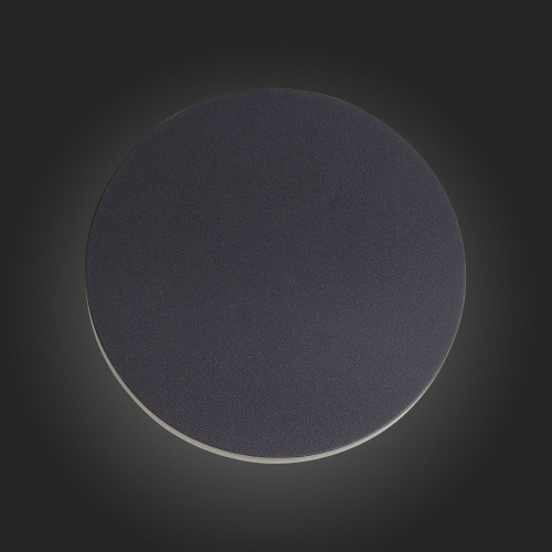 SL087.401.01 Светильник уличный настенный ST-Luce Черный кварцевый LED 1*12W 4000K CONTARIO фото 5