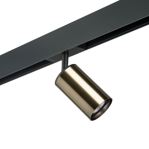 Комплект с трековым светильником Lightstar Rullo (214431+595057) PRO431