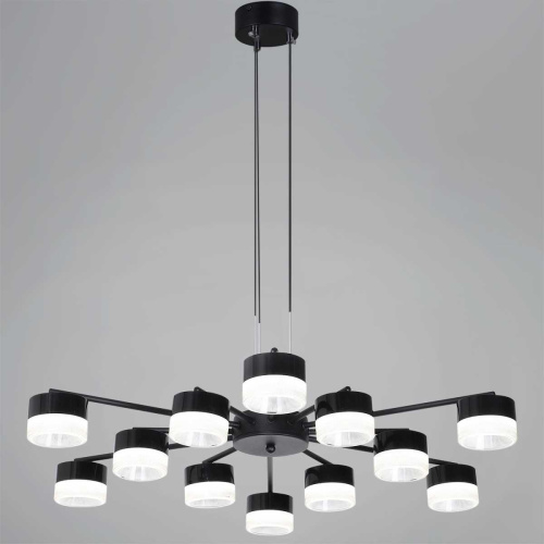 Подвесная люстра Reluce 19490-0.4-6+6 Black