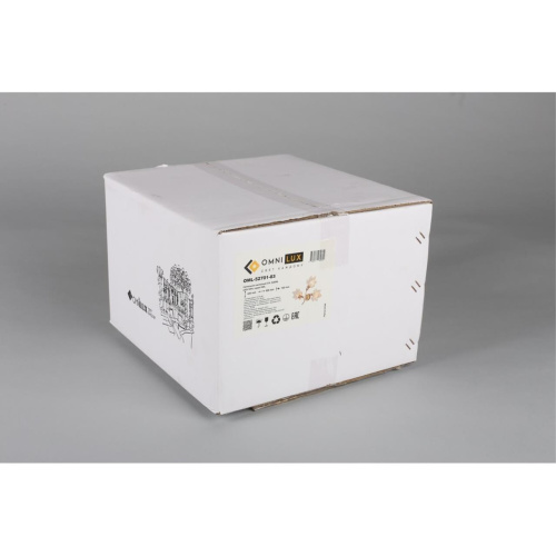 Светильник настенный (Бра) OML-52701-03 фото 10 Светильник настенный (Бра) OML-52701-03 фото 10