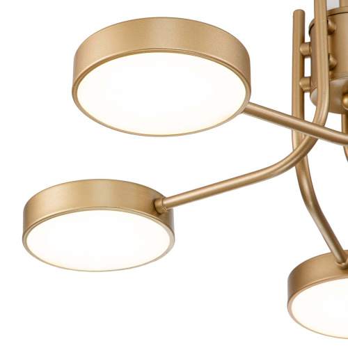 Светильник на штанге Escada 10258/5 LED*44W Champagne gold фото 5 Светильник на штанге Escada 10258/5 LED*44W Champagne gold фото 5