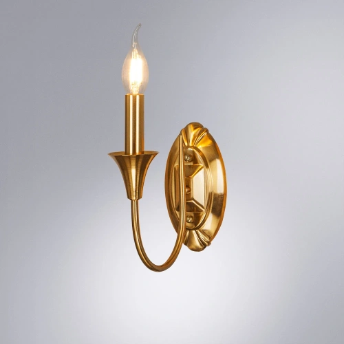 Бра Arte Lamp COLLINETTA A4094AP-1PB фото 2 Бра Arte Lamp COLLINETTA A4094AP-1PB фото 2