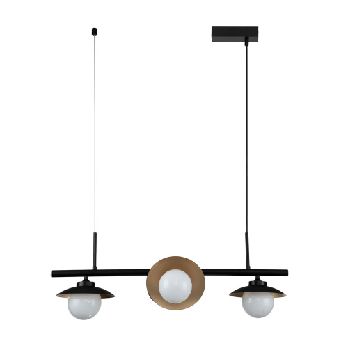 Подвесной светильник 10015/4P Black фото 2