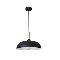 Подвесной светильник Arte Lamp KAYLA A7099SP-1BK