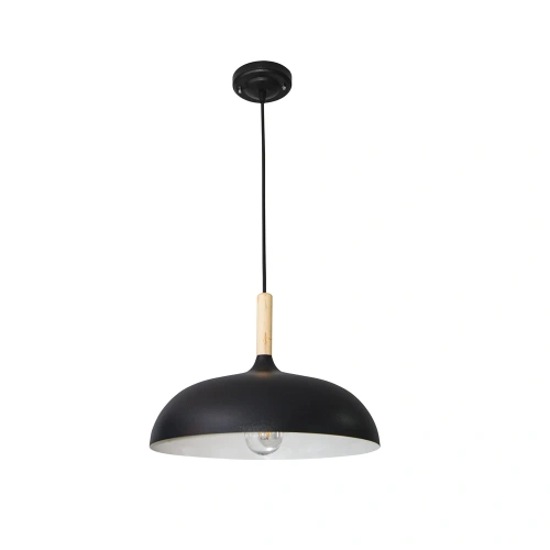Подвесной светильник Arte Lamp KAYLA A7099SP-1BK