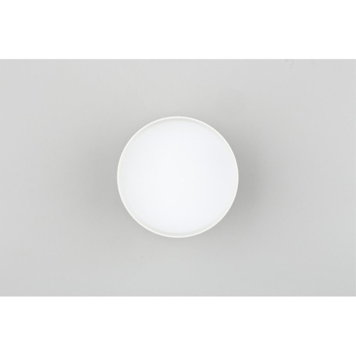 Светильник встраиваемый-накладной OML-103309-12 фото 2 Светильник встраиваемый-накладной OML-103309-12 фото 2