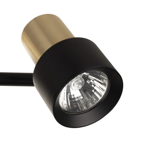 Citilux SAT CL505641 Спот поворотный с выключателем Чёрный+Золото фото 10 Citilux SAT CL505641 Спот поворотный с выключателем Чёрный+Золото фото 10
