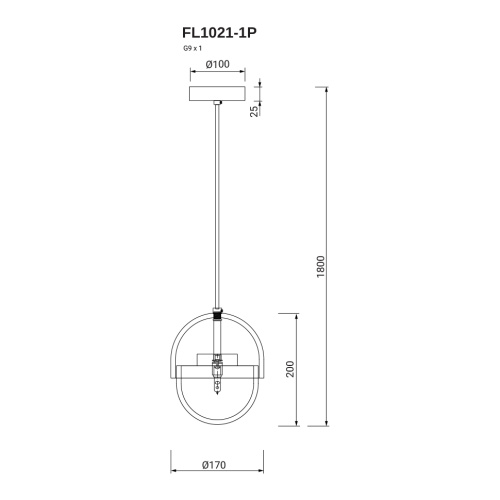 Подвесной светильник Flamma FL1021-1P фото 6