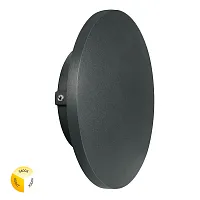 Фасадный светильник Arte Lamp NIMBO A1510AL-1BK