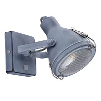 Спот Arte Lamp FARO A9178AP-1GY