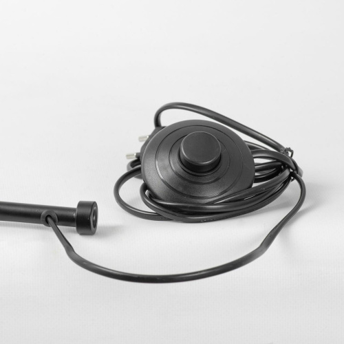 Торшер Lussole SY3660 фото 3