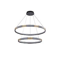 Подвесной светодиодный светильник Favourite Rota 4131-2P