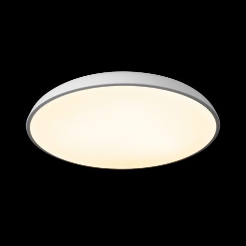 10371 White Потолочный светильник LOFT IT Dime фото 2