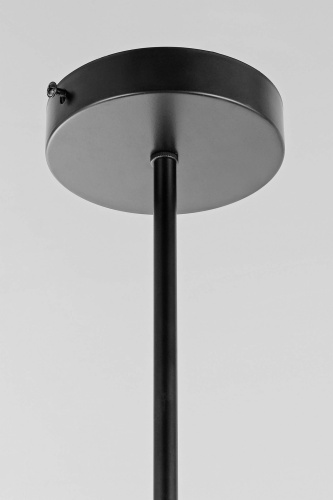 Подвесной светильник Lampit TP 2007-4 BK фото 3